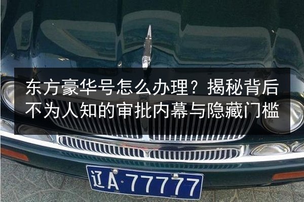 东方豪华号怎么办理？揭秘背后不为人知的审批内幕与隐藏门槛