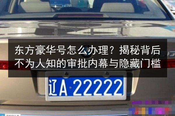 东方豪华号怎么办理？揭秘背后不为人知的审批内幕与隐藏门槛 第2张