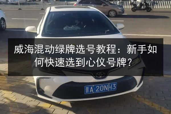 威海混动绿牌选号教程:新手如何快速选到心仪号牌? 第2张 威海混动绿牌选号教程:新手如何快速选到心仪号牌? 第2张