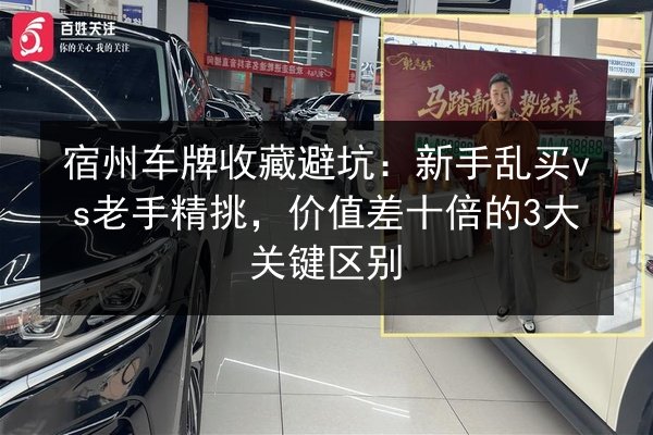 宿州车牌收藏避坑：新手乱买vs老手精挑，价值差十倍的3大关键区别
