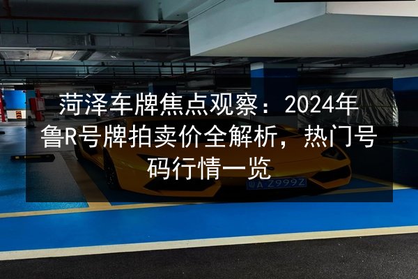 菏泽车牌焦点观察：2024年鲁R号牌拍卖价全解析，热门号码行情一览 第3张