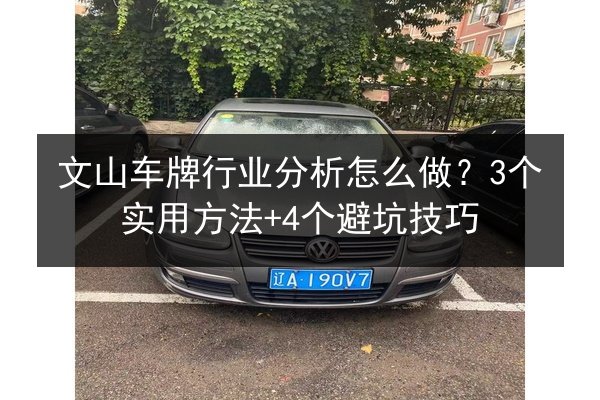 文山车牌行业分析怎么做？3个实用方法+4个避坑技巧 第2张