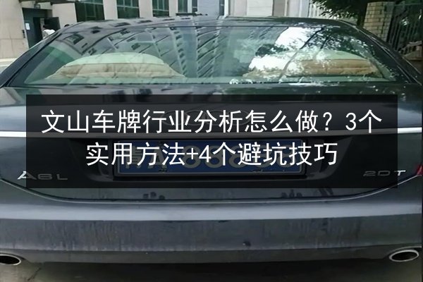 文山车牌行业分析怎么做？3个实用方法+4个避坑技巧 第3张