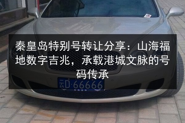 秦皇岛特别号转让分享：山海福地数字吉兆，承载港城文脉的号码传承