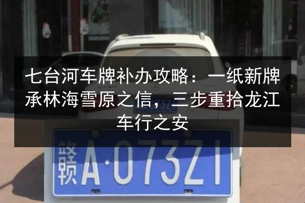 七台河车牌补办攻略：一纸新牌承林海雪原之信，三步重拾龙江车行之安