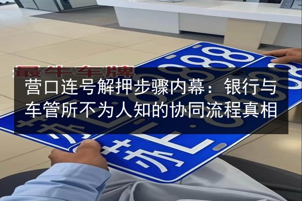 营口连号解押步骤内幕：银行与车管所不为人知的协同流程真相 第3张