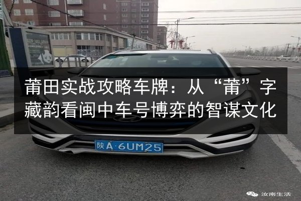 莆田实战攻略车牌：从“莆”字藏韵看闽中车号博弈的智谋文化