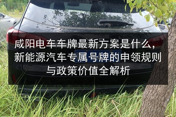 咸阳电车车牌最新方案是什么,新能源汽车专属号牌的申领规则与政策价值全解析 第3张 咸阳电车车牌最新方案是什么,新能源汽车专属号牌的申领规则与政策价值全解析 第3张