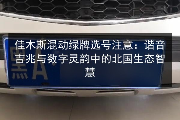 佳木斯混动绿牌选号注意：谐音吉兆与数字灵韵中的北国生态智慧