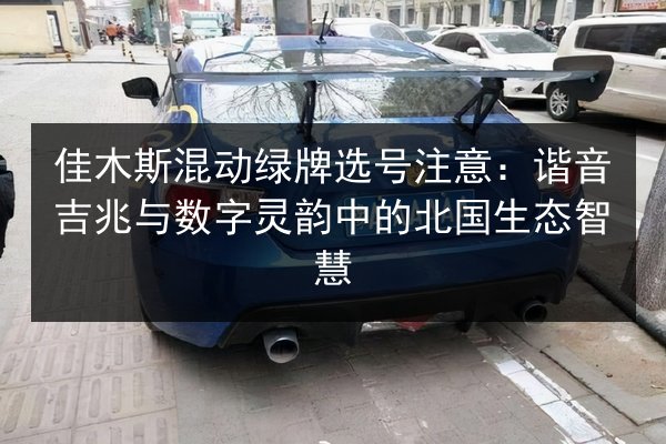 佳木斯混动绿牌选号注意:谐音吉兆与数字灵韵中的北国生态智慧 第2张 佳木斯混动绿牌选号注意:谐音吉兆与数字灵韵中的北国生态智慧 第2张