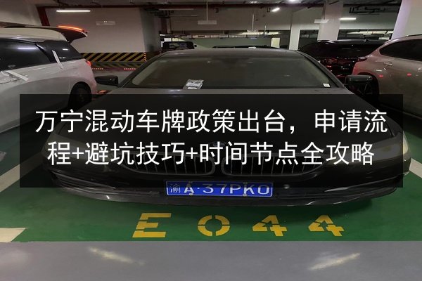 万宁混动车牌政策出台,申请流程+避坑技巧+时间节点全攻略 第3张 万宁混动车牌政策出台,申请流程+避坑技巧+时间节点全攻略 第3张