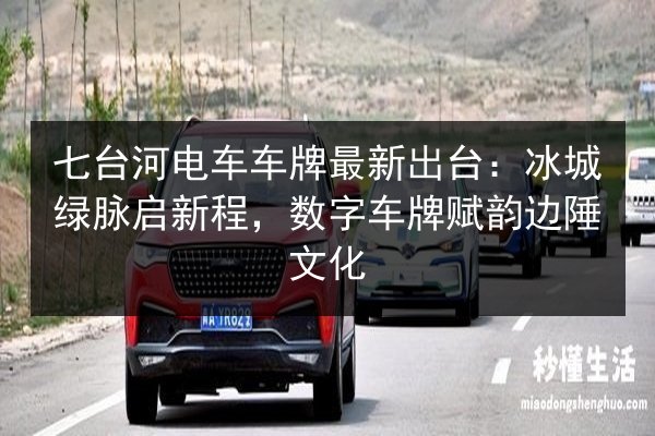 七台河电车车牌最新出台：冰城绿脉启新程，数字车牌赋韵边陲文化