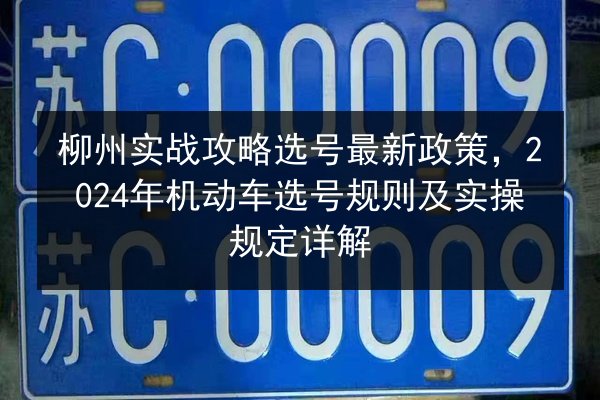 柳州实战攻略选号最新政策,2024年机动车选号规则及实操规定详解 第2张 柳州实战攻略选号最新政策,2024年机动车选号规则及实操规定详解 第2张