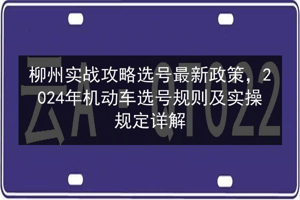 柳州实战攻略选号最新政策,2024年机动车选号规则及实操规定详解 第3张 柳州实战攻略选号最新政策,2024年机动车选号规则及实操规定详解 第3张