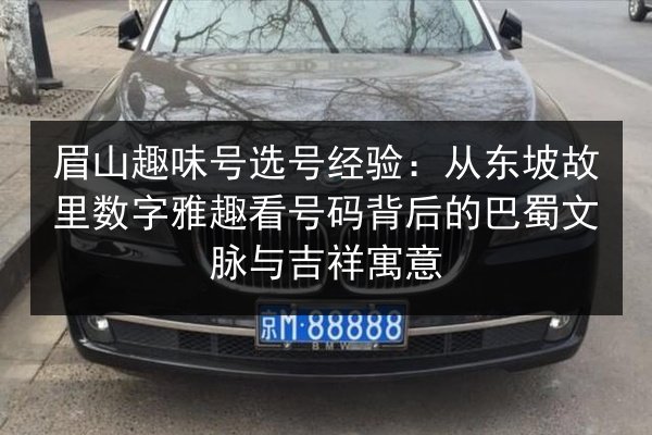 眉山趣味号选号经验：从东坡故里数字雅趣看号码背后的巴蜀文脉与吉祥寓意