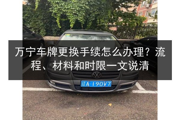 万宁车牌更换手续怎么办理？流程、材料和时限一文说清 第3张