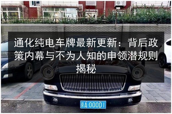 通化纯电车牌最新更新:背后政策内幕与不为人知的申领潜规则揭秘 第3张 通化纯电车牌最新更新:背后政策内幕与不为人知的申领潜规则揭秘 第3张