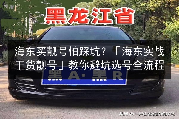 海东买靓号怕踩坑?「海东实战干货靓号」教你避坑选号全流程 第2张 海东买靓号怕踩坑?「海东实战干货靓号」教你避坑选号全流程 第2张