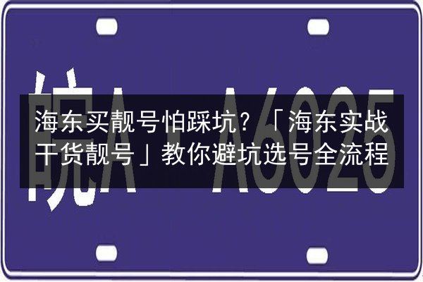 海东买靓号怕踩坑?「海东实战干货靓号」教你避坑选号全流程 第3张 海东买靓号怕踩坑?「海东实战干货靓号」教你避坑选号全流程 第3张