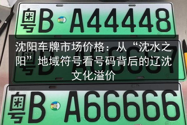 沈阳车牌市场价格：从“沈水之阳”地域符号看号码背后的辽沈文化溢价