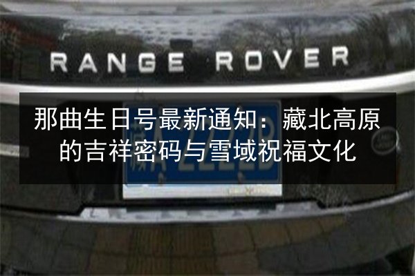 那曲生日号最新通知：藏北高原的吉祥密码与雪域祝福文化 第2张