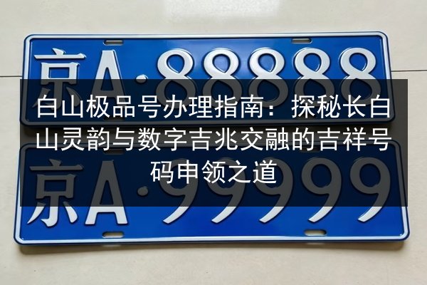 白山极品号办理指南：探秘长白山灵韵与数字吉兆交融的吉祥号码申领之道 第3张