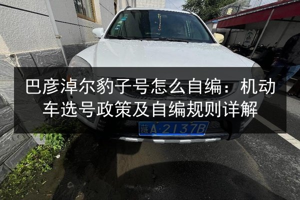 巴彦淖尔豹子号怎么自编：机动车选号政策及自编规则详解