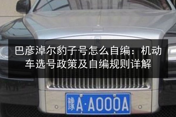 巴彦淖尔豹子号怎么自编：机动车选号政策及自编规则详解 第2张
