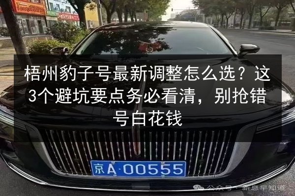 梧州豹子号最新调整怎么选?这3个避坑要点务必看清,别抢错号白花钱 第3张 梧州豹子号最新调整怎么选?这3个避坑要点务必看清,别抢错号白花钱 第3张