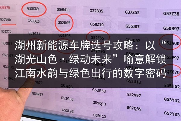 湖州新能源车牌选号攻略：以“湖光山色·绿动未来”喻意解锁江南水韵与绿色出行的数字密码