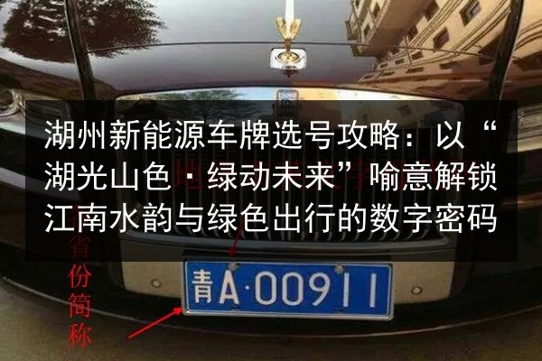 湖州新能源车牌选号攻略：以“湖光山色·绿动未来”喻意解锁江南水韵与绿色出行的数字密码 第2张