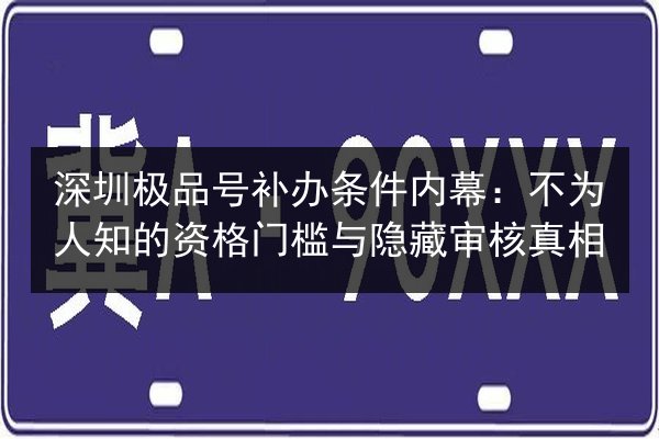 深圳极品号补办条件内幕：不为人知的资格门槛与隐藏审核真相 第2张