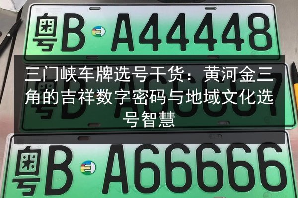 三门峡车牌选号干货:黄河金三角的吉祥数字密码与地域文化选号智慧 第2张 三门峡车牌选号干货:黄河金三角的吉祥数字密码与地域文化选号智慧 第2张