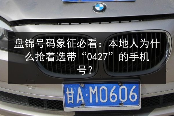 盘锦号码象征必看:本地人为什么抢着选带“0427”的手机号? 第2张 盘锦号码象征必看:本地人为什么抢着选带“0427”的手机号? 第2张