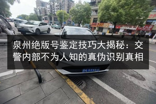 泉州绝版号鉴定技巧大揭秘：交警内部不为人知的真伪识别真相
