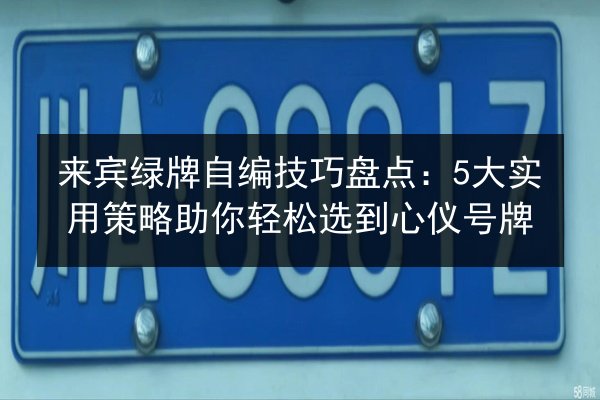 来宾绿牌自编技巧盘点：5大实用策略助你轻松选到心仪号牌 第2张