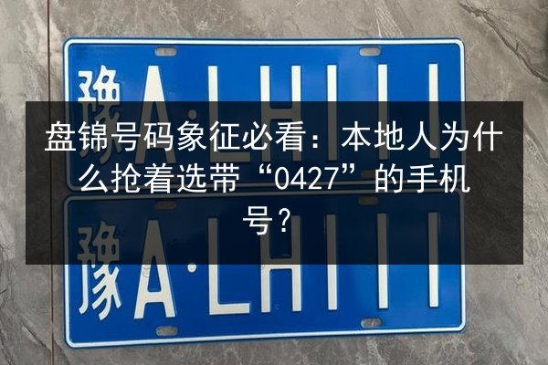 盘锦号码象征必看:本地人为什么抢着选带“0427”的手机号? 第3张 盘锦号码象征必看:本地人为什么抢着选带“0427”的手机号? 第3张