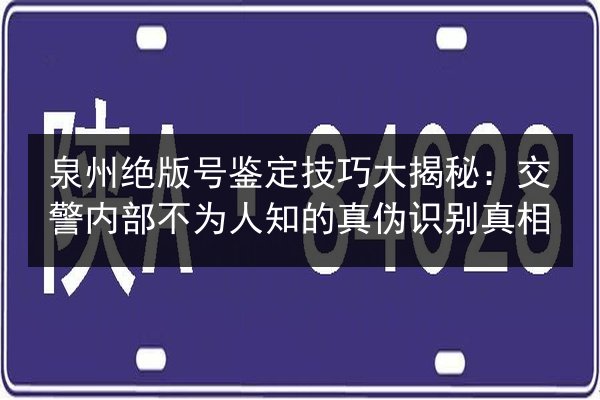 泉州绝版号鉴定技巧大揭秘：交警内部不为人知的真伪识别真相 第2张