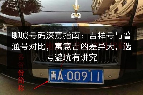 聊城号码深意指南：吉祥号与普通号对比，寓意吉凶差异大，选号避坑有讲究 第2张