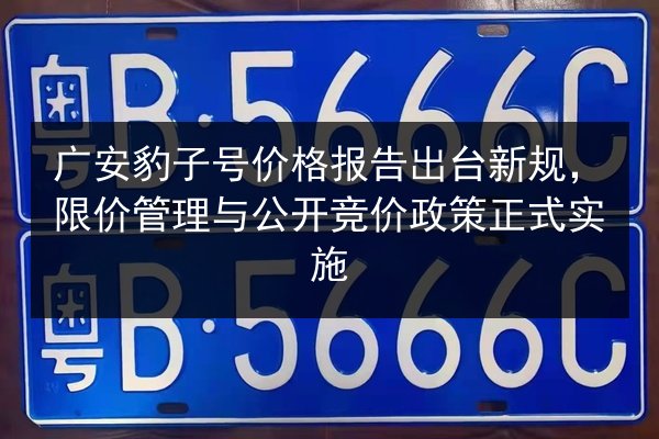 广安豹子号价格报告出台新规,限价管理与公开竞价政策正式实施 第3张 广安豹子号价格报告出台新规,限价管理与公开竞价政策正式实施 第3张