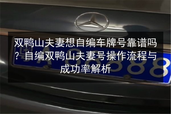 双鸭山夫妻想自编车牌号靠谱吗?自编双鸭山夫妻号操作流程与成功率解析 第2张 双鸭山夫妻想自编车牌号靠谱吗?自编双鸭山夫妻号操作流程与成功率解析 第2张