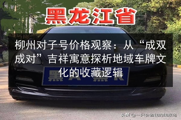 柳州对子号价格观察:从“成双成对”吉祥寓意探析地域车牌文化的收藏逻辑 第1张 柳州对子号价格观察:从“成双成对”吉祥寓意探析地域车牌文化的收藏逻辑 第1张