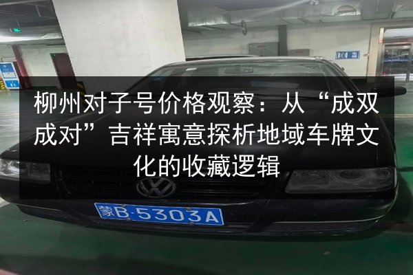 柳州对子号价格观察:从“成双成对”吉祥寓意探析地域车牌文化的收藏逻辑 第3张 柳州对子号价格观察:从“成双成对”吉祥寓意探析地域车牌文化的收藏逻辑 第3张