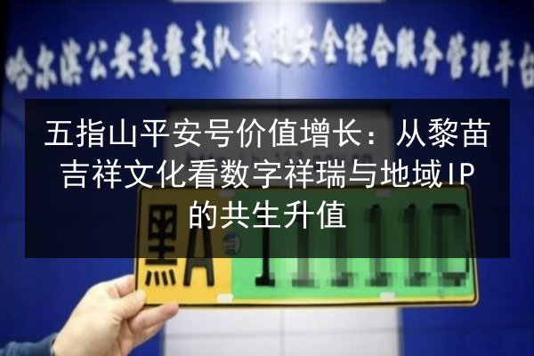 五指山平安号价值增长：从黎苗吉祥文化看数字祥瑞与地域IP的共生升值 第2张