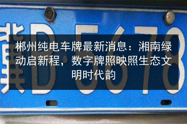 郴州纯电车牌最新消息：湘南绿动启新程，数字牌照映照生态文明时代韵
