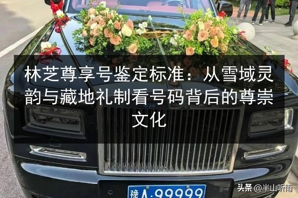 林芝尊享号鉴定标准：从雪域灵韵与藏地礼制看号码背后的尊崇文化 第3张
