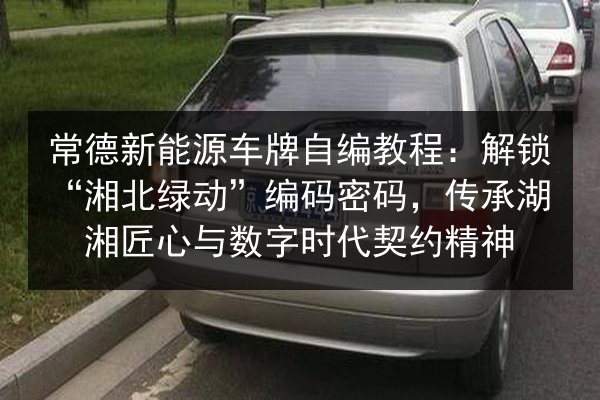 常德新能源车牌自编教程:解锁“湘北绿动”编码密码,传承湖湘匠心与数字时代契约精神 第3张 常德新能源车牌自编教程:解锁“湘北绿动”编码密码,传承湖湘匠心与数字时代契约精神 第3张
