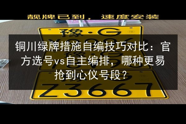 铜川绿牌措施自编技巧对比：官方选号vs自主编排，哪种更易抢到心仪号段？