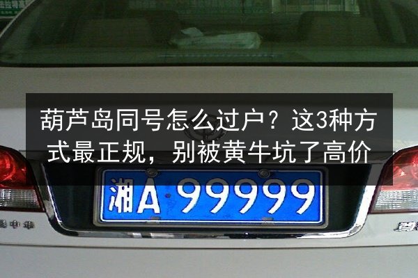 葫芦岛同号怎么过户?这3种方式最正规,别被黄牛坑了高价 第3张 葫芦岛同号怎么过户?这3种方式最正规,别被黄牛坑了高价 第3张