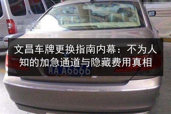 文昌车牌更换指南内幕：不为人知的加急通道与隐藏费用真相 第2张